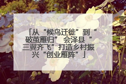 从“候鸟迁徙”到“破茧雁归” 会泽县“三翼齐飞”打造乡村振兴“创业雁阵”