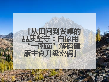 从田间到餐桌的品质坚守：白象用“一碗面”解码健康主食升级密码