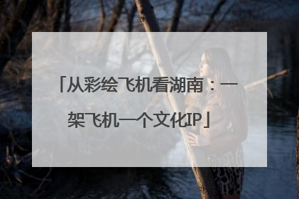从彩绘飞机看湖南：一架飞机一个文化IP