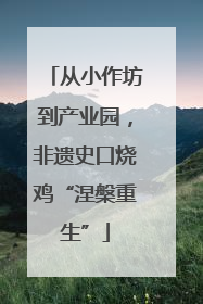 从小作坊到产业园，非遗史口烧鸡“涅槃重生”