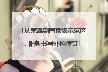 从荒滩到国家级示范区，阳新书写虾稻传奇