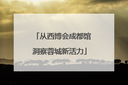 从西博会成都馆洞察蓉城新活力