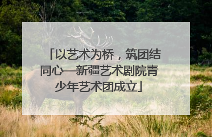 以艺术为桥，筑团结同心—新疆艺术剧院青少年艺术团成立