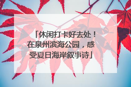 休闲打卡好去处！在泉州滨海公园，感受夏日海岸叙事诗