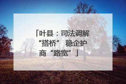 叶县：司法调解“搭桥” 稳企护商“路宽”