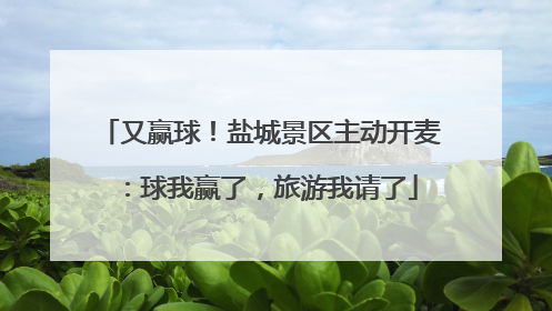又赢球！盐城景区主动开麦：球我赢了，旅游我请了