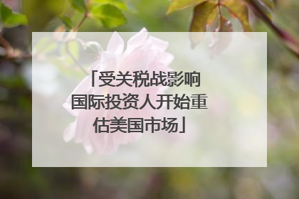 受关税战影响 国际投资人开始重估美国市场