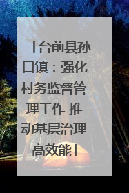 台前县孙口镇：强化村务监督管理工作 推动基层治理高效能