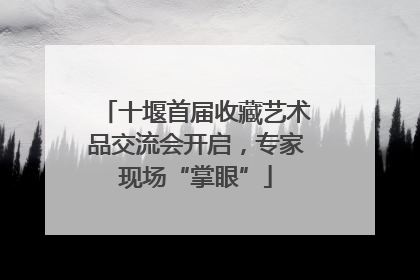 十堰首届收藏艺术品交流会开启，专家现场“掌眼”