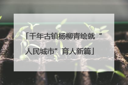 千年古镇杨柳青绘就“人民城市”育人新篇