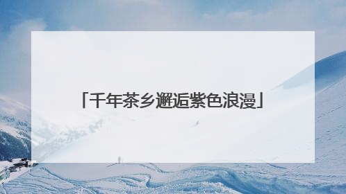 千年茶乡邂逅紫色浪漫