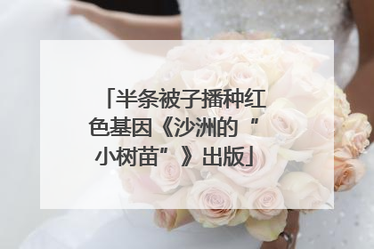 半条被子播种红色基因《沙洲的“小树苗”》出版