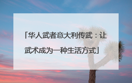 华人武者意大利传武：让武术成为一种生活方式