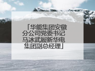 华能集团安徽分公司党委书记马冰武履新华电集团副总经理
