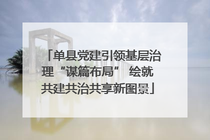 单县党建引领基层治理“谋篇布局” 绘就共建共治共享新图景