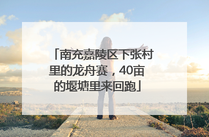 南充嘉陵区下张村里的龙舟赛，40亩的堰塘里来回跑