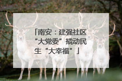 南安：建强社区“大党委”撬动民生“大幸福”