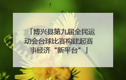 博兴县第九届全民运动会台球比赛构建起赛事经济“新平台”
