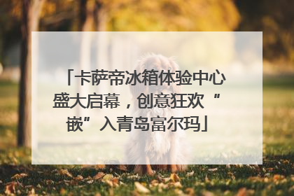 卡萨帝冰箱体验中心盛大启幕，创意狂欢“嵌”入青岛富尔玛
