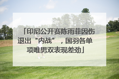 印尼公开赛陈雨菲因伤退出“内战”，国羽各单项唯男双表现差劲