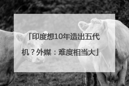 印度想10年造出五代机？外媒：难度相当大
