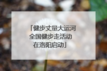 健步丈量大运河 全国健步走活动在洛阳启动