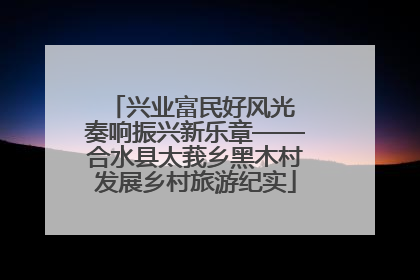 兴业富民好风光 奏响振兴新乐章——合水县太莪乡黑木村发展乡村旅游纪实