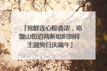 党群连心粽香浓，珞珈山街道两新组织别样主题党日庆端午