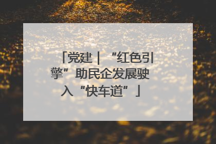 党建｜“红色引擎”助民企发展驶入“快车道”