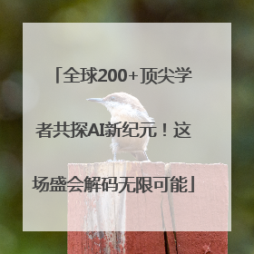 全球200+顶尖学者共探AI新纪元！这场盛会解码无限可能