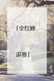 全红婵退赛