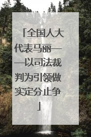 全国人大代表马丽——以司法裁判为引领做实定分止争