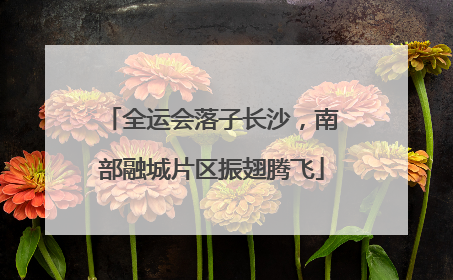 全运会落子长沙，南部融城片区振翅腾飞