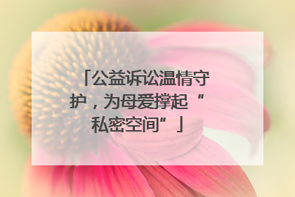 公益诉讼温情守护，为母爱撑起“私密空间”