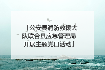 公安县消防救援大队联合县应急管理局开展主题党日活动