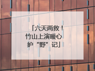 六天两救！竹山上演暖心护“野”记