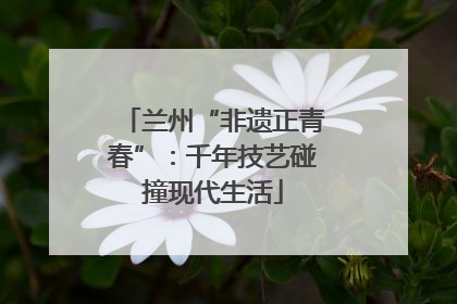 兰州“非遗正青春”：千年技艺碰撞现代生活
