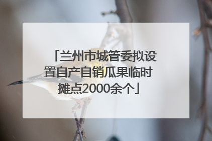 兰州市城管委拟设置自产自销瓜果临时摊点2000余个