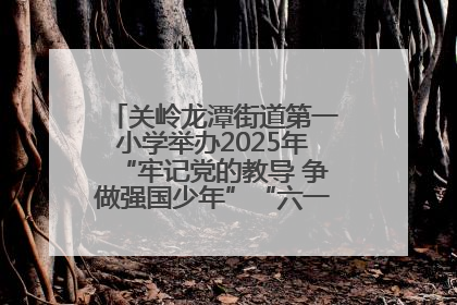 关岭龙潭街道第一小学举办2025年“牢记党的教导 争做强国少年”“六一”文艺汇演活动