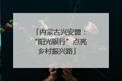 内蒙古兴安盟：“阳光银行”点亮乡村振兴路