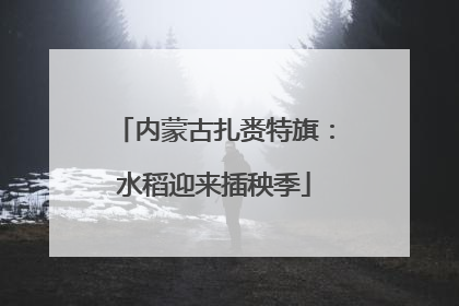 内蒙古扎赉特旗：水稻迎来插秧季
