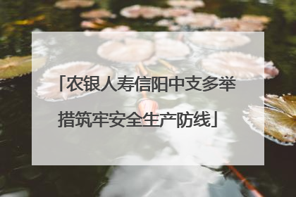 农银人寿信阳中支多举措筑牢安全生产防线