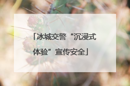 冰城交警“沉浸式体验”宣传安全