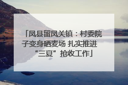 凤县留凤关镇：村委院子变身晒麦场 扎实推进“三夏”抢收工作