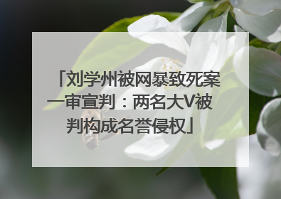刘学州被网暴致死案一审宣判：两名大V被判构成名誉侵权