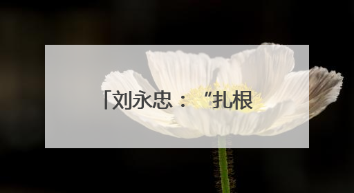 刘永忠：“扎根”一线守初心 执行力就是战斗力