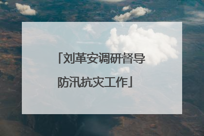 刘革安调研督导防汛抗灾工作