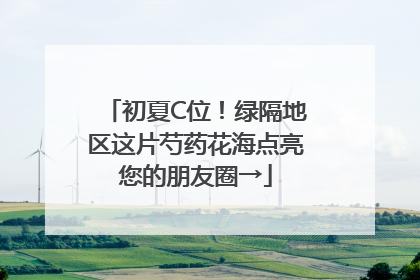 初夏C位！绿隔地区这片芍药花海点亮您的朋友圈→