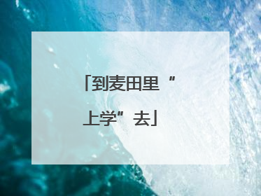 到麦田里“上学”去