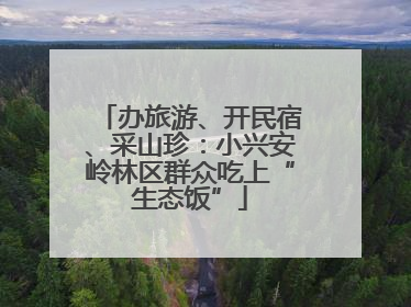 办旅游、开民宿、采山珍：小兴安岭林区群众吃上“生态饭”